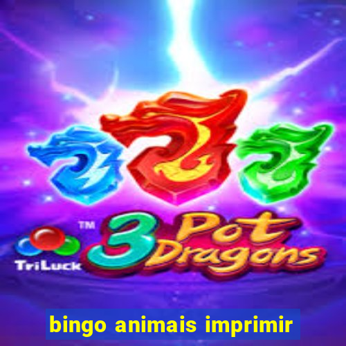 bingo animais imprimir